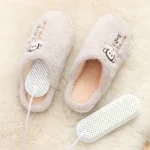 eBee Mini Shoes Heating Devices