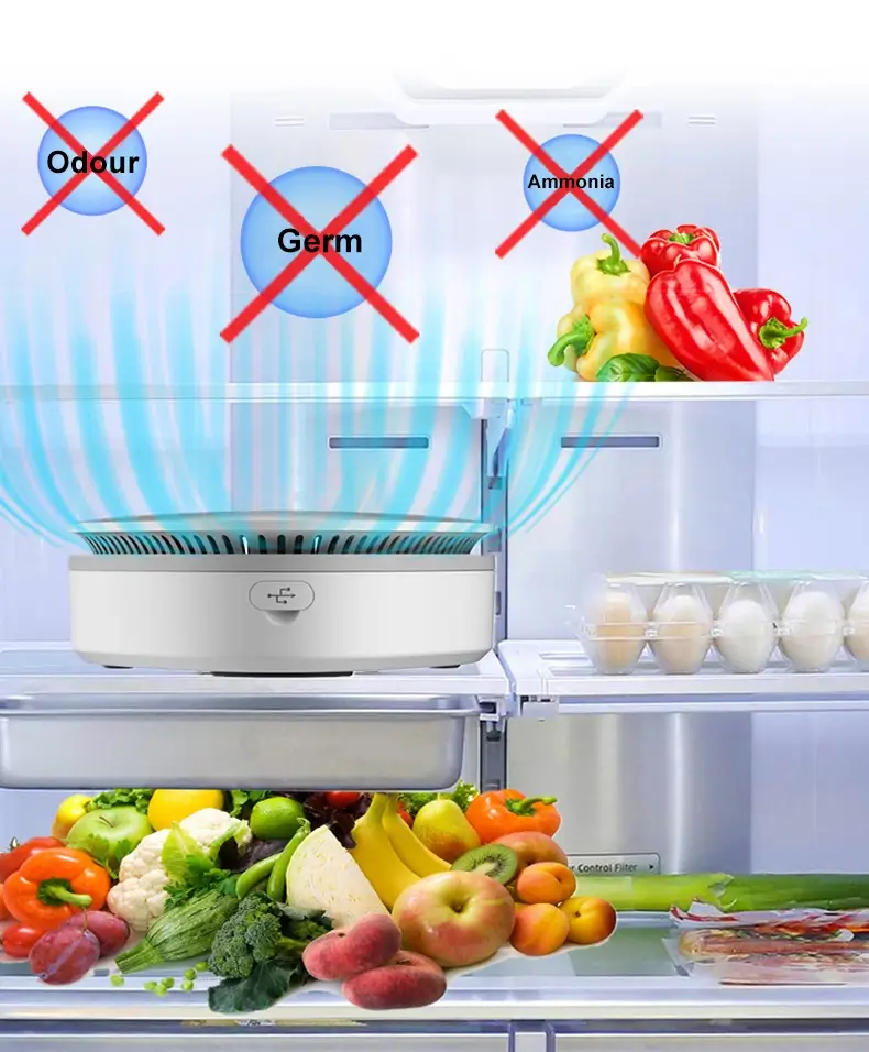 Removing Harmful Bacteria from Refrigerator
