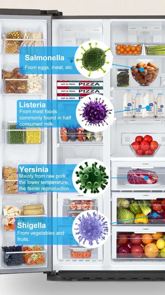 Schematic Diagram of the Distribution of Bacterias Inside the Refrigerator
