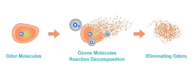 The Principle of Ozone Odor Removal